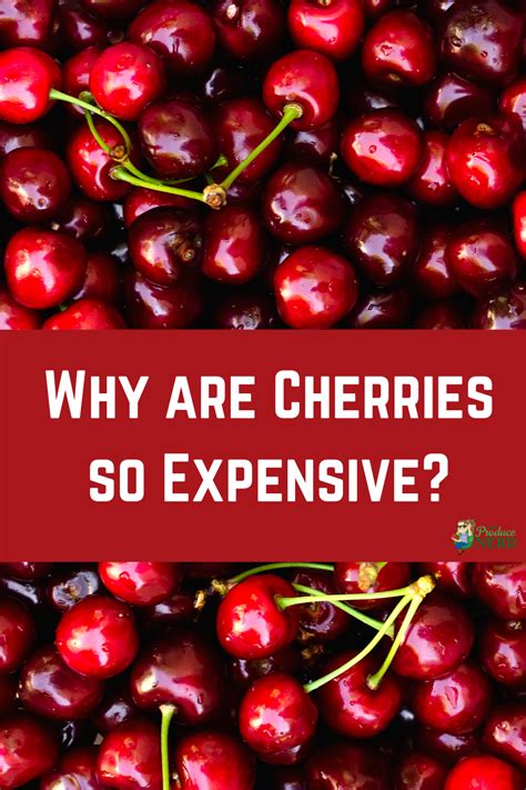 why are cherries so cheap right now